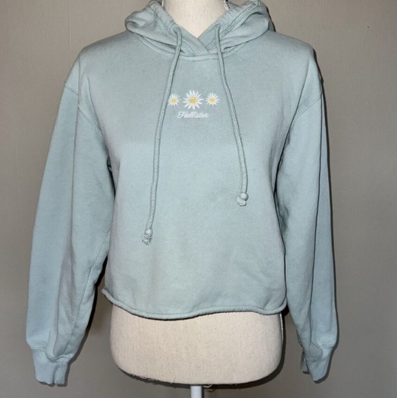 Hollister Cropped Hoodie - Picture 3 of 16